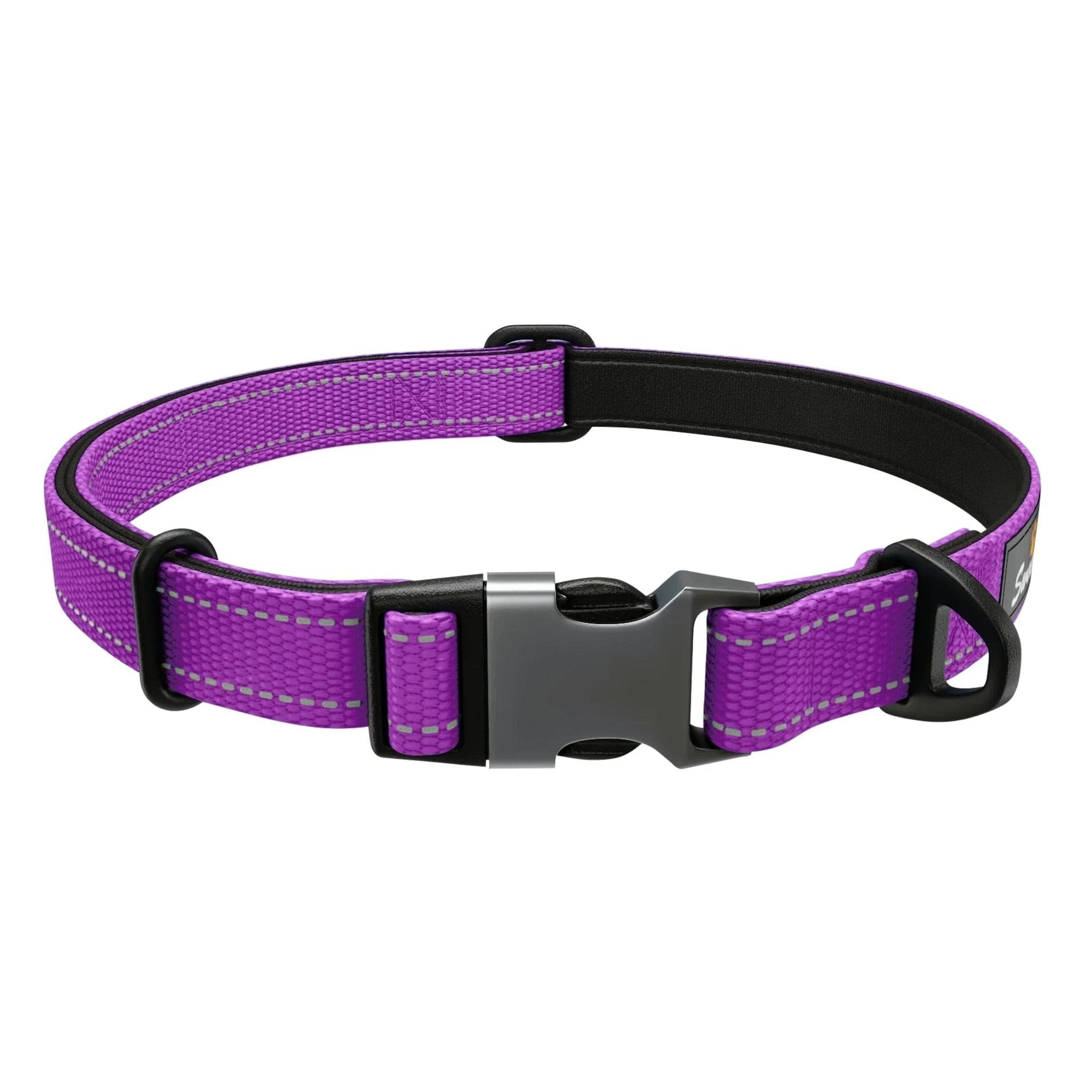 Adjustable Nylon Dog Collar – Purple