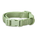 Neoprene Cushioned Adjustable Dog Collar – Green