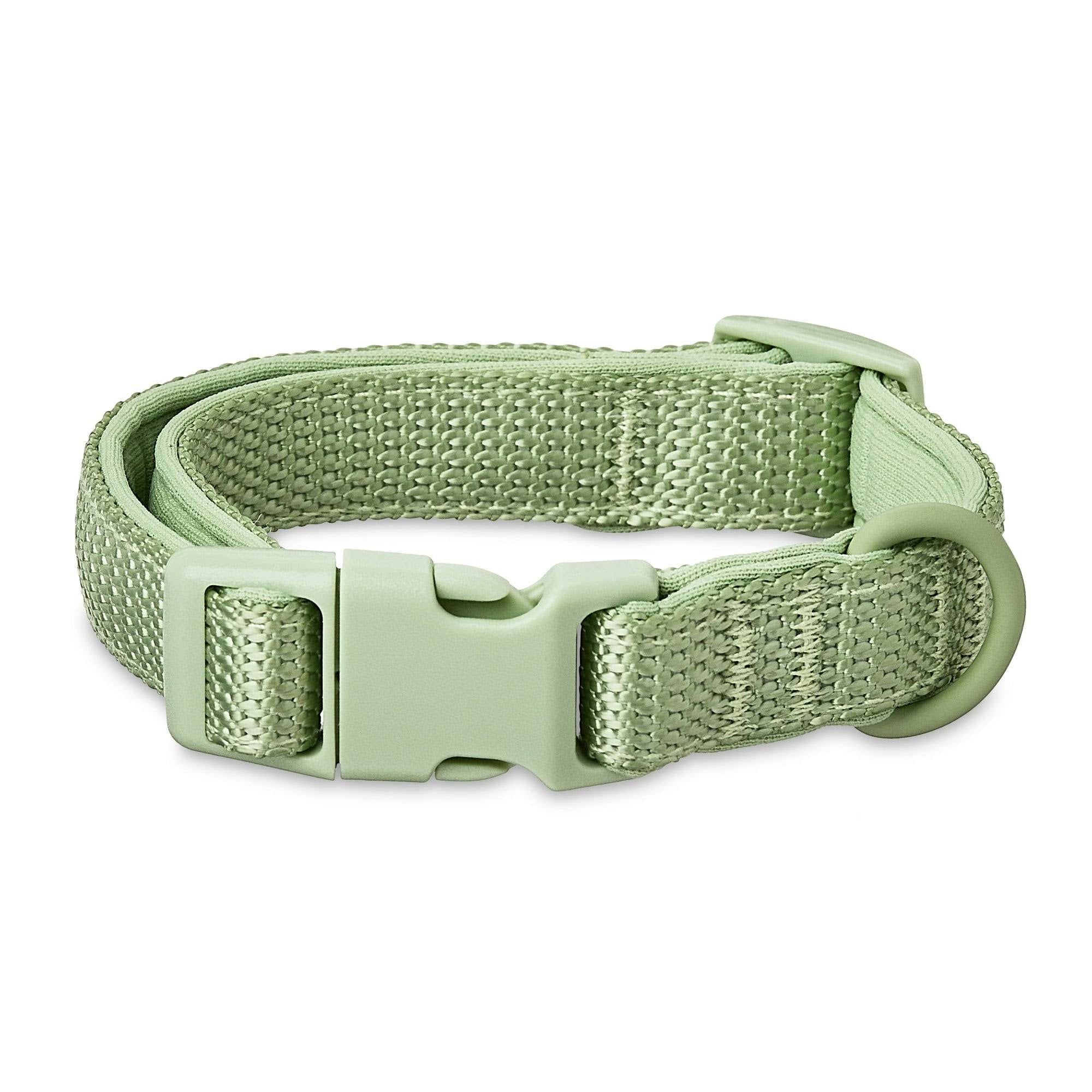 Neoprene Cushioned Adjustable Dog Collar – Green